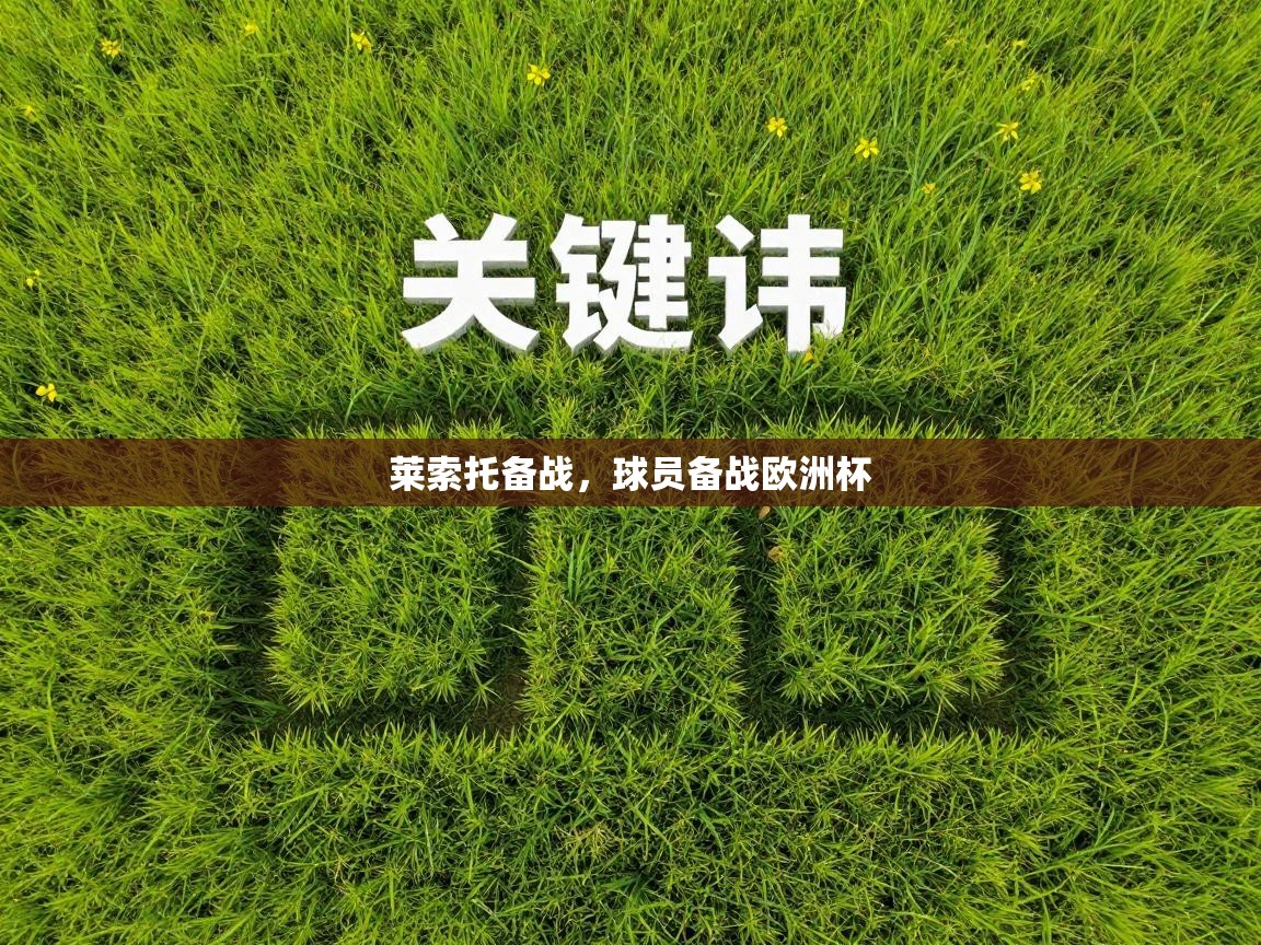 莱索托备战，球员备战欧洲杯  第2张