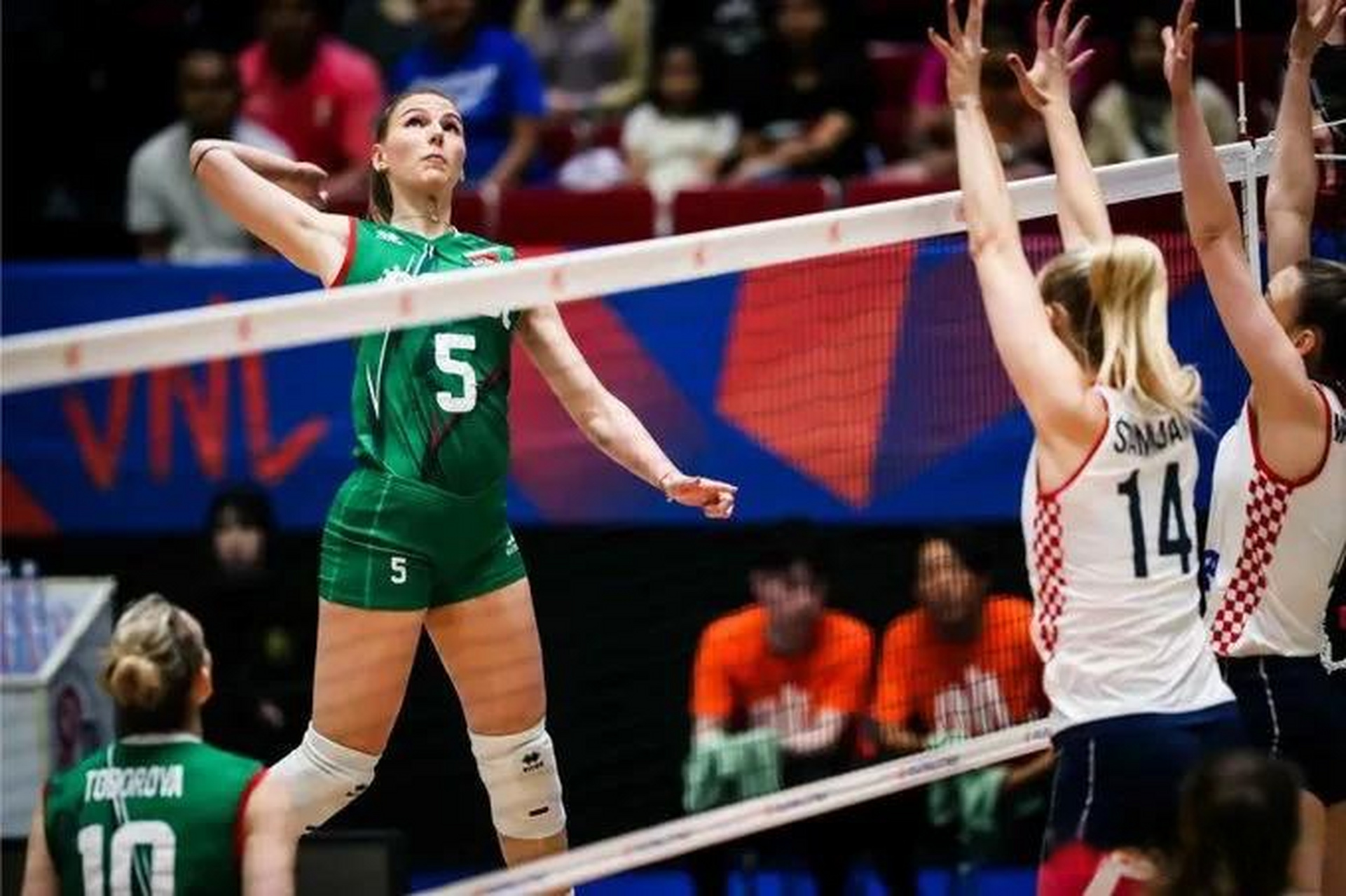 波黑队惊险战胜挪威,成功晋级欧锦赛半决赛 波黑队惊险战胜挪威,成功晋级欧锦赛半决赛