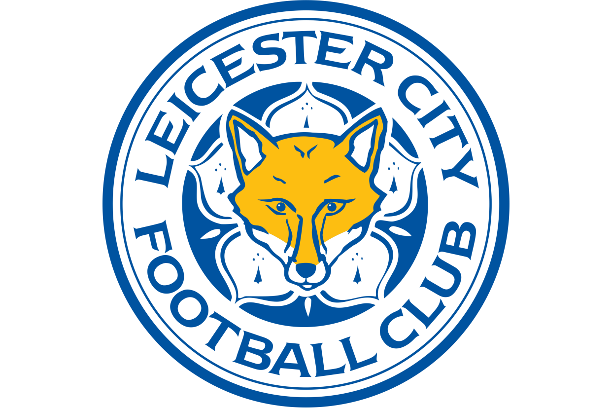 南安普顿备战苦战,坚决保级 南安普顿备战苦战,坚决保级