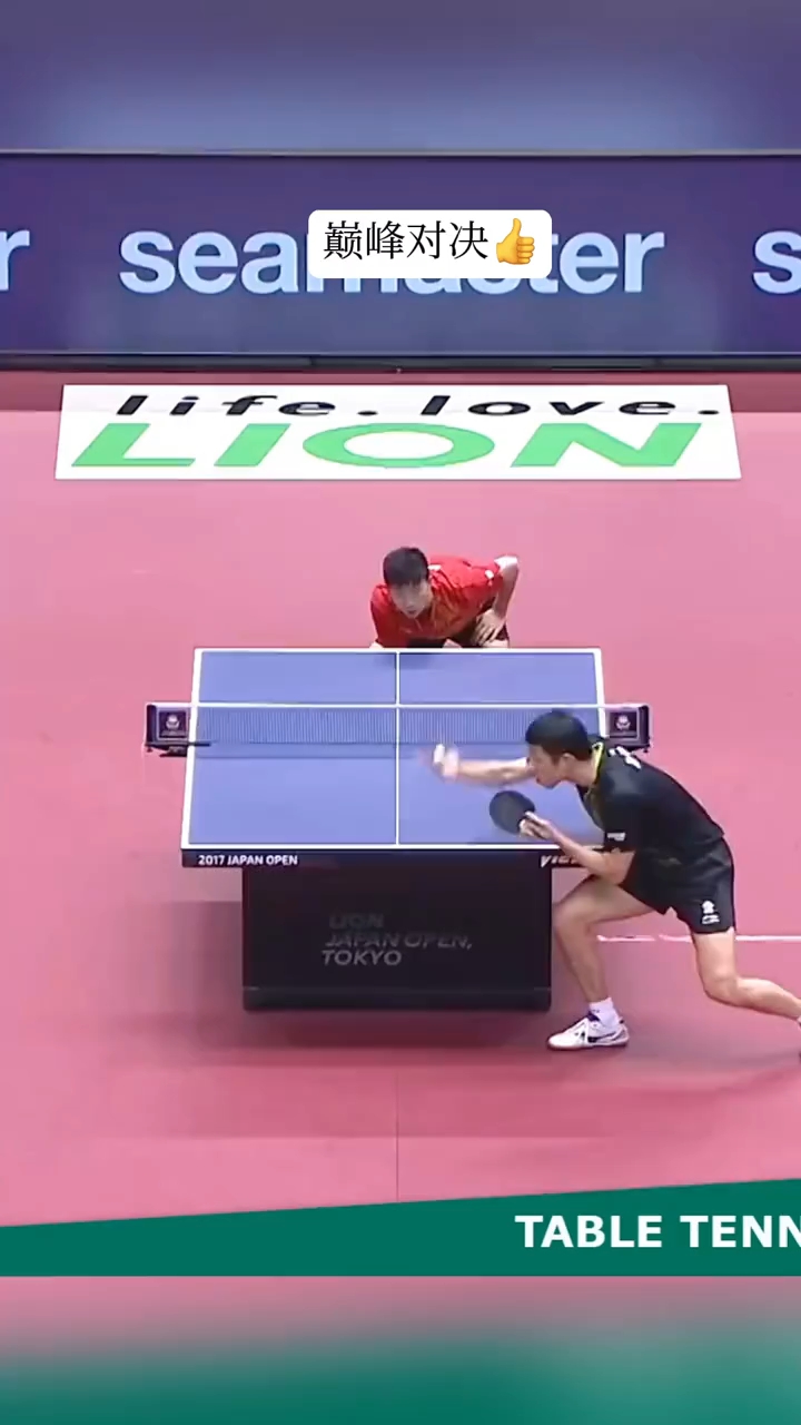 乒乓球场上的巅峰对决,技艺精湛让人叹为观止的简单介绍 乒乓球场上的巅峰对决,技艺精湛让人叹为观止的简单介绍